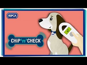 Dog microchipping | RSPCA - RSPCA - rspca.org.uk
