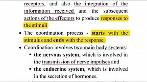 Grade 12 Biology, Chapter 5, 5.3 Coordination and Response in Animals, 5.3.1 Human Nervous System https://m.facebook.com/story.php?story_fbid=792128359591669&id=100063835366257&mibextid=Nif5oz | Dr. Chit Ye Zaw