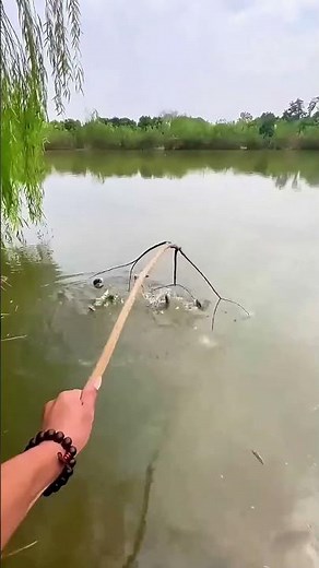 Simple Branch Fishing: Fish Swarm Automatically, Surprising Harvest!