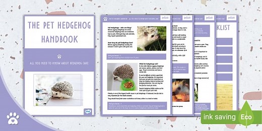 The Ultimate Pet Hedgehog Handbook - Pet Care Guide