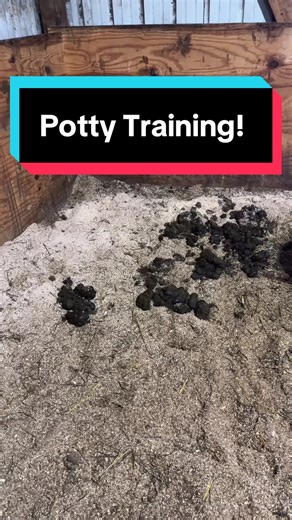 Potty Training Tips for Busy Parents