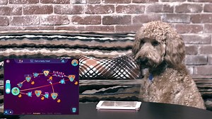 56K views · 69 reactions | Introducing WonderPaw, the world’s first...