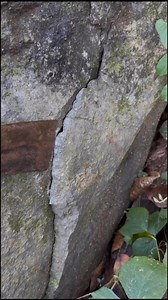 2.1M views · 19K reactions | Blessings unexpected drops!! #reels #fbreelsfypシ゚ | Jm D Compass | Facebook