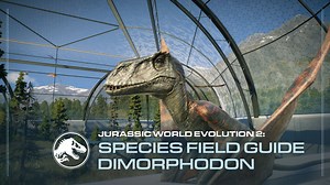 22K views · 1.6K reactions | Dimorphodon means "two-form tooth", a name referring to the fact that this flying reptile has two distinct types of teeth in its jaws, comparatively rare among reptiles. Learn more about these fascinating flyers in our latest Species Field Guide: https://bit.ly/3lsTZ0f | Jurassic World Evolution 3 | Facebook