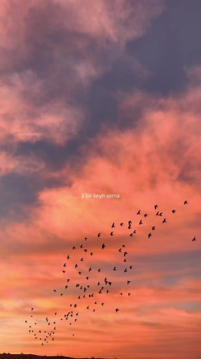 bilind ibrahim - hîvî🤍 #Kurdistan #kurdi #kurd #kurdish #song #music #kurdisongs #duhok #sunset #sky #birds #foryoupage #fyp