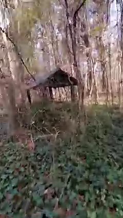 612K views · 7.1K reactions | Check the old well house out! #abandonedplaces #history #discovery #exploring #fypシ゚ #viralvideo #metaldetecting #treasure #outdoors #southern #oldhouse #oldstuff | Zach Byrd Adventure Hour | Facebook