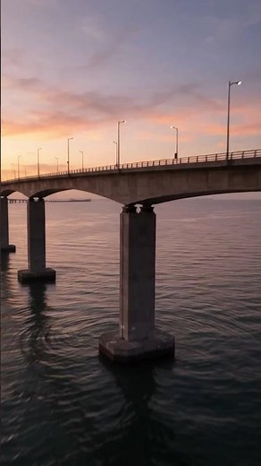 How Seismic Bearings Let Bridges Survive Earthquakes