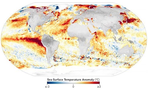 The Ocean Has a Fever - NASA Science