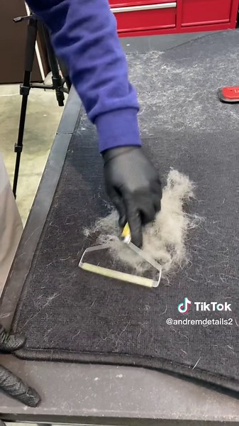 Effective Pet Hair Removal Tool for Cars