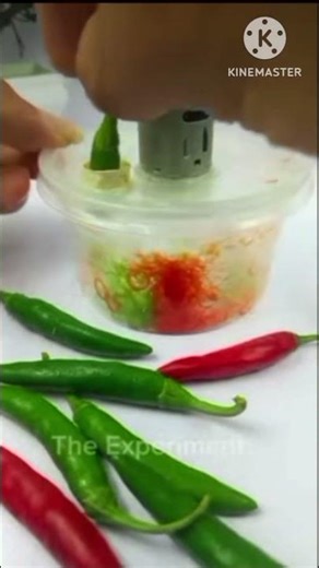 Portable Chilli Cutting machine DIY homemade #dcmotor #sawblade #youtubeshorts #dcmotorproject