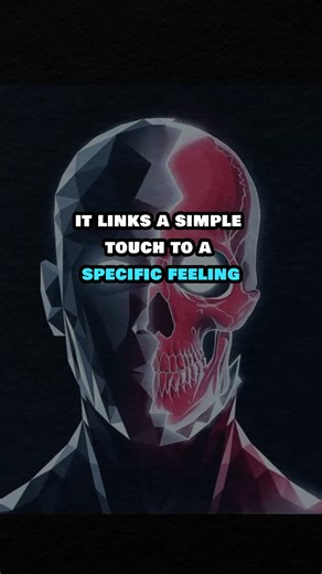“The Hidden Code of Touch — Control Anyone’s Emotion 🧠💀”