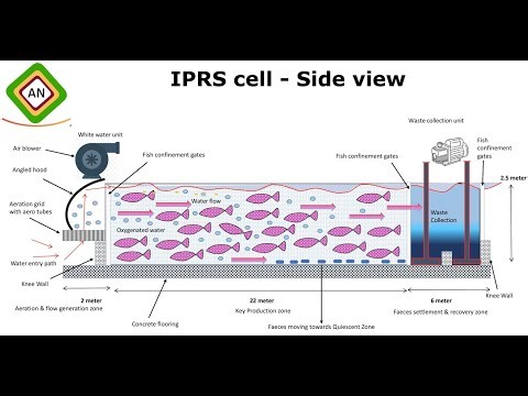 In-Pond Raceway System - IPRS
