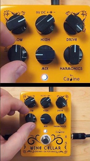 Caline - CP-60 Wine Cellar