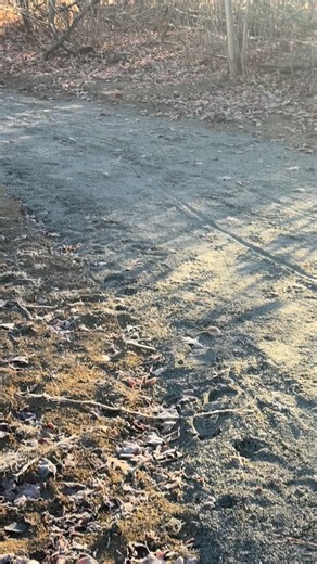 11 reactions | A stunning new trail in Madawaska! Only 12 minutes from the Yurt ☀️ #yurtlife #algonquinpark #outdoorliving #canadianglamping #sustainabletravel #madawaskayurt #madawaskaontario on | Madawaska Yurt | Facebook