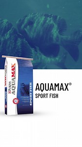 Year round feeding = year round results with our full line of Purina Aquamax fish feeds: https://www.purinamills.com/Products/fish-and-aquatics-feed #purina #aquamax #bass #perch #catfish | Purina Wildlife