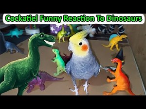 Cockatiel Funny Reaction To Dinosaur First Time 🦖 | Cockatiel sounds | #birds #pets