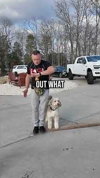 The Heel Drill Every Dog Owner Needs!