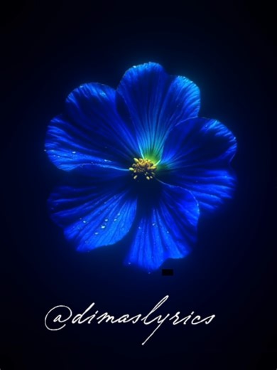 The Fate of Ophelia - Taylor Swift Analysis