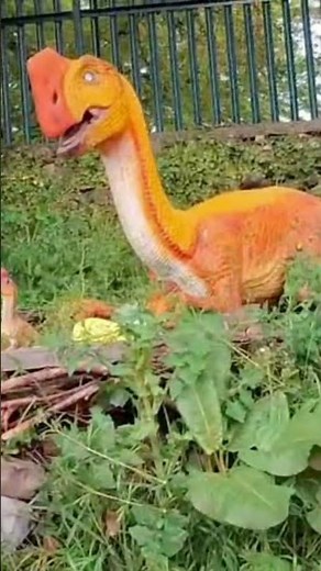 Jurassic new park Kilkenny #irishtourism #kids fun place