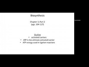Lecture 7 Biosynthesis Ch 3, Part 2