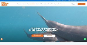 Relax & Explore on a Blue Lagoon Island Beach Day