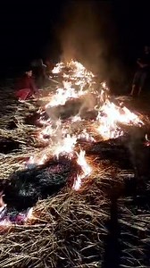 95K views · 2.7K reactions | Dedication and Commitment. Management of Ramhall Cricket League Preparing wicket for tomorrow's quarter finals. | JKSportstime | Facebook