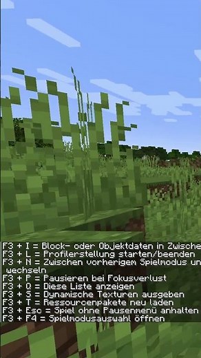 Minecraft Hotkeys welche ihr kennen solltet Part 2 #minecraft