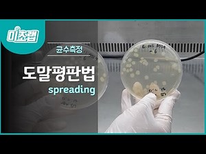 MBcell Count Measurement - Spreading Method Experiment! (Spreading)
