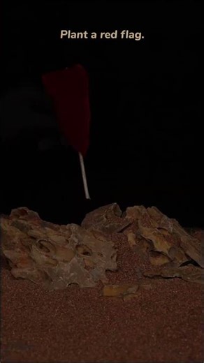 Filming Radahn's Swords in the SAND?! (feat. Alexander) 🦁🏜️ #shorts