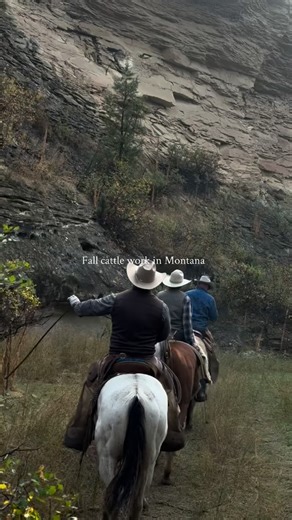 12K views · 95 reactions | Fall weather out here changes fast — sunshine one day, snow the next. Working cattle this time of year keeps you on your toes and reminds you to respect the land and its moods. #stetsonforge #montana #ranchlife #cattle #fallwork #legacy | Stetson Forge LLC | Facebook