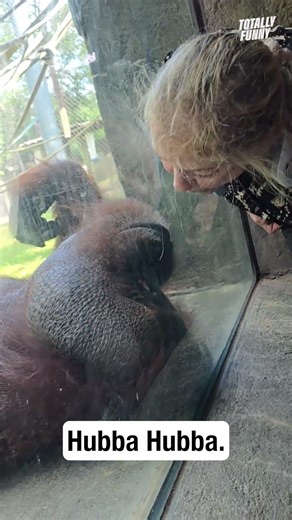 Pucker up, Buttercup 🦍 #shorts #funny