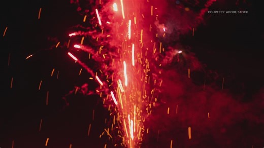 Denver Animal Shelter takes in 87 dogs over 4th of July weekend