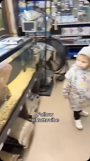 Ruttovibe | Animals that burp | Instagram