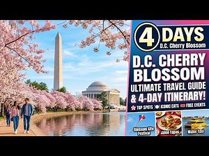 Washington D.C. Cherry Blossom Itinerary 2026 🌸 (4-Day Travel Guide)
