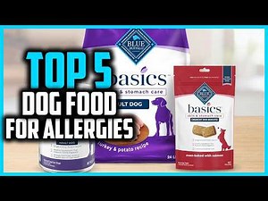 ✅ Top 5 Best Dog Food for Allergies in 2026