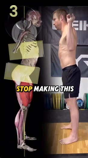 Squat University on Instagram: "A common squat fault that caused my patient’s back to feel FRAGILE. But after learning how to properly brace & stack his ribs on top of his pelvis - he squatted more than he had in 2 YEARS! . Shout out @muscleandmotion for the amazing anatomy graphics used today!!"