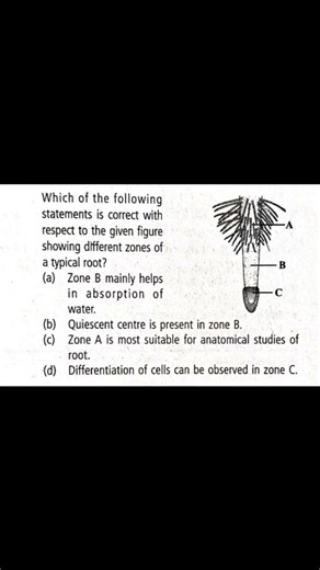 NEET practice question-1048