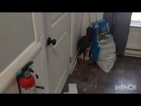 Cleaning after a horder moves out #hording #apartmentcleanup