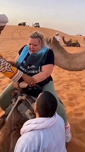 Camel interesting facts #camelfacts #camel #camels #interestingfacts #curiositymatters | Curiosity Matters