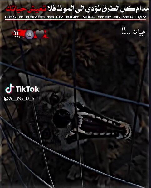 |#عبارات #ديراوي_♕🖤 #تـصميم_ديراوي🗞🖤