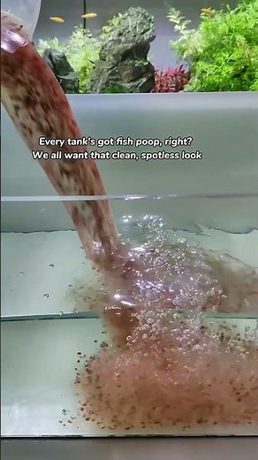 This Gravel Cleaner saved my aquarium! Watch how i