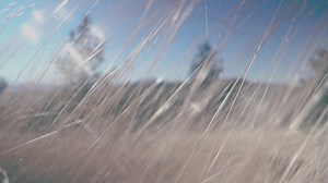 14 reactions | Summer is already here! We want this awesome season to last longer and remain in our memories. It’s time to travel, walk, party, fall in love, and make videos about it  To create memorable and aesthetically pleasing clips, play around with our film-like overlays and LUTs from the Timeless Pack. The effects will add a little nostalgic touch to your videos. Get effects by subscription  mova.vi/tmls2 #Movavi | Movavi | Facebook