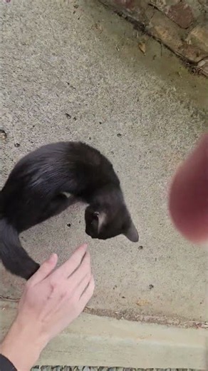 little guy just popped out of no where, so gave him some loves