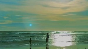 37 reactions | Somewhere above sky ☁️ | Helianthus | Facebook