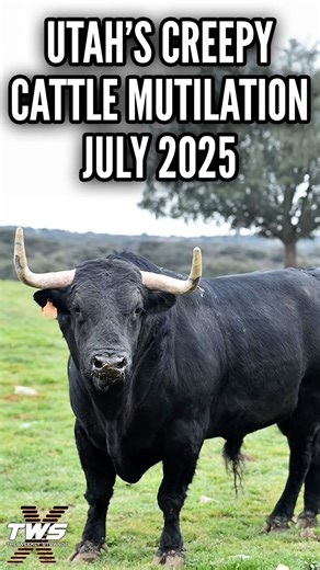 UTAH’S CREEPY CATTLE MUTILATION! #paranormalpodcast #podcast THE WEEKLY STRANGE