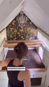 90K views · 1.2K reactions |   Finding a chicken-keeping routine...