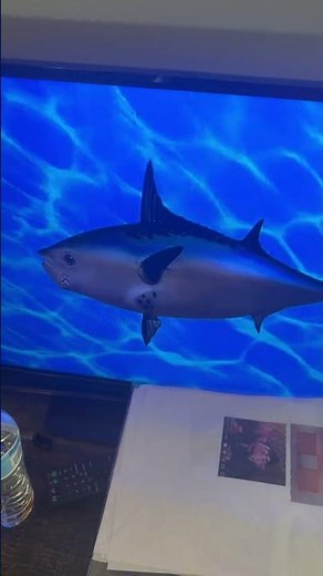 SpongeBob SquarePants Fish Logo (1999)