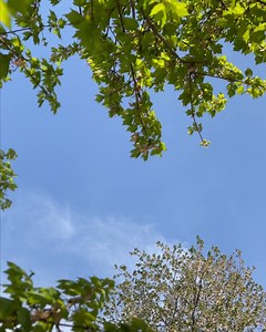 These easy energy-saving habits in the kitchen can help you save 💰: ✔️ Match your pot or pan to the size of the burner ✔️ Cover pots and pans on the stovetop ✔️ Cook in the microwave instead of the oven when possible Find more renter-friendly tips: http://spr.ly/6185PHVAx | Duke Energy