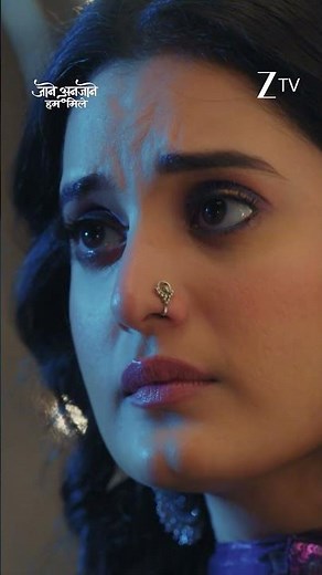 Jaane Anjaane Hum Mile | Ep 345 | Zee TV HD