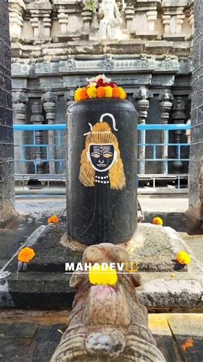🍃🌸🔱M A H A D E V🔱🌸🍃 | #shorts